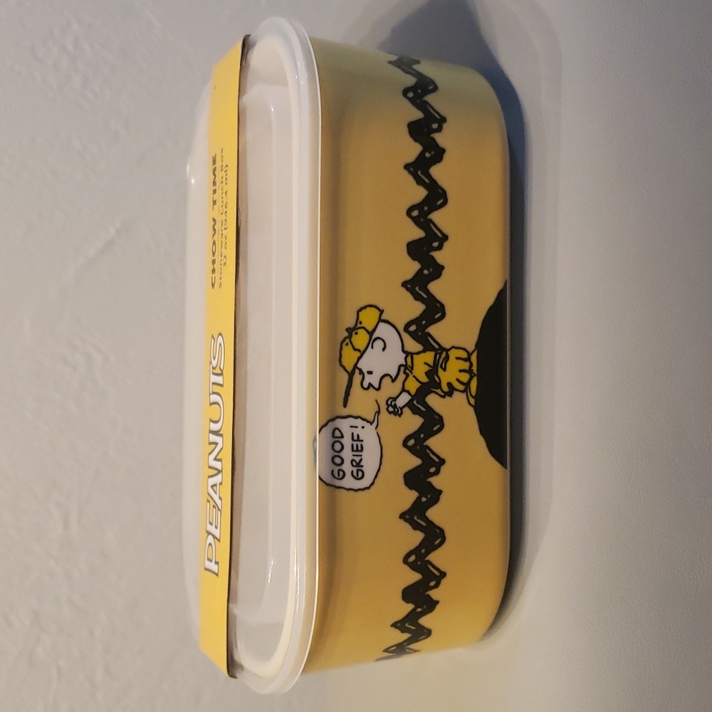 Peanuts Charlie Brown "Good Grief" food storage container with vented lid NWT